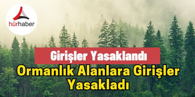 Ormana girmek yasaklandı 