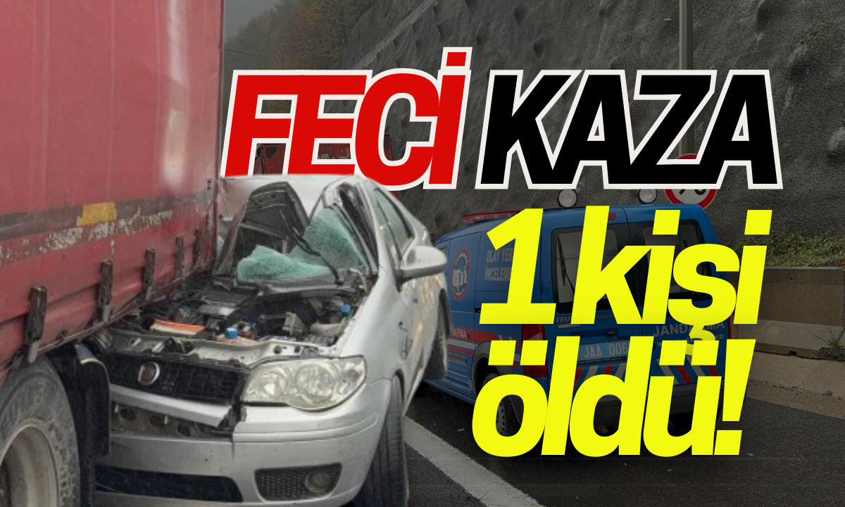 Otomobil tıra arkadan çarptı: Kazada 1 kişi öldü, 4 kişi yaralandı!