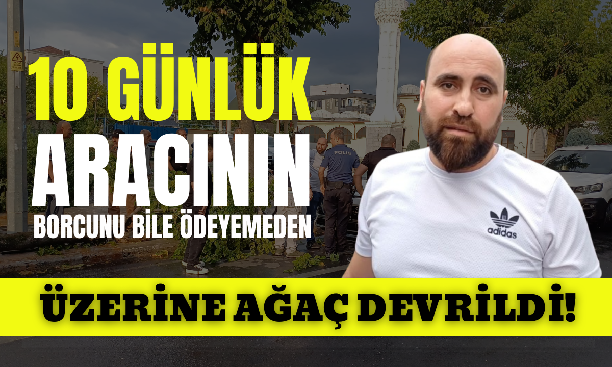 Park halindeki aracın üzerine ağaç devrildi!