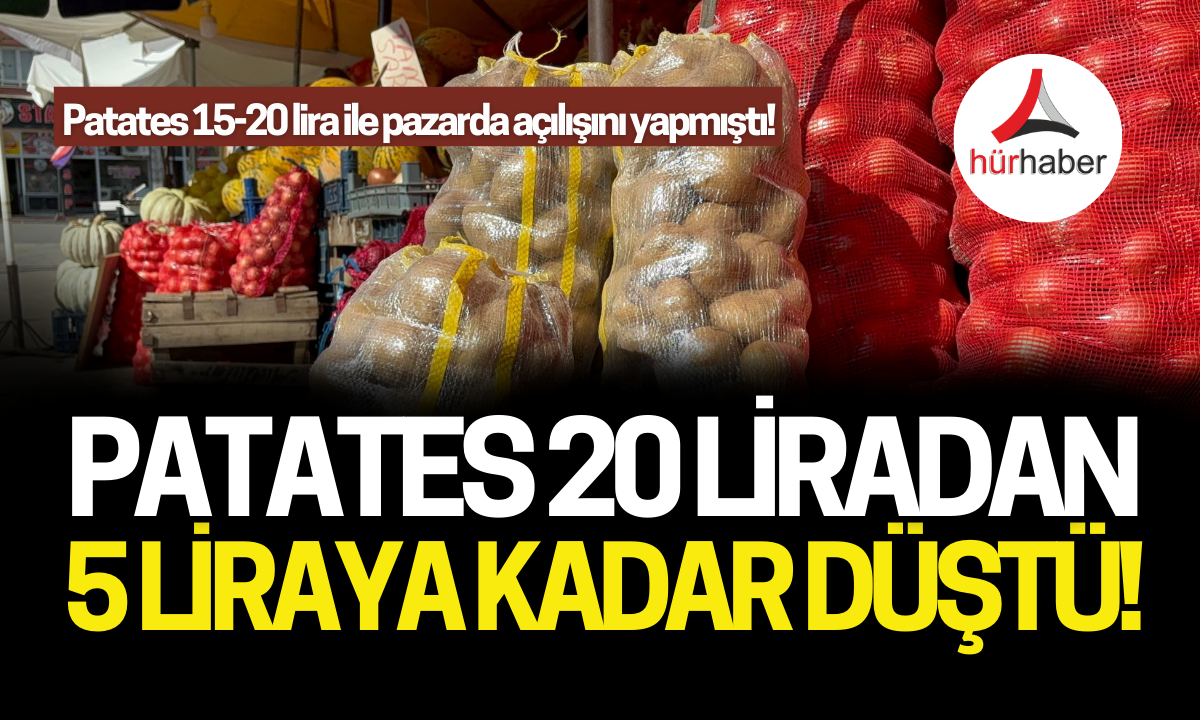 Patates 20 liradan 5 liraya kadar düştü!