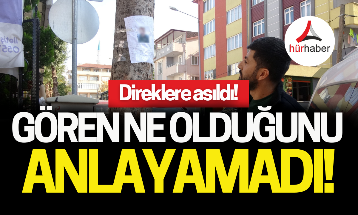 Şaşırtan olay direklere asıldı, gören ne olduğunu anlayamadı!