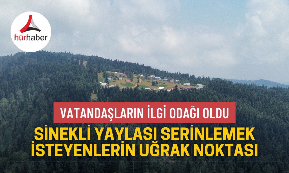 Sinekli Yaylası serinlemek isteyenlerin uğrak noktası