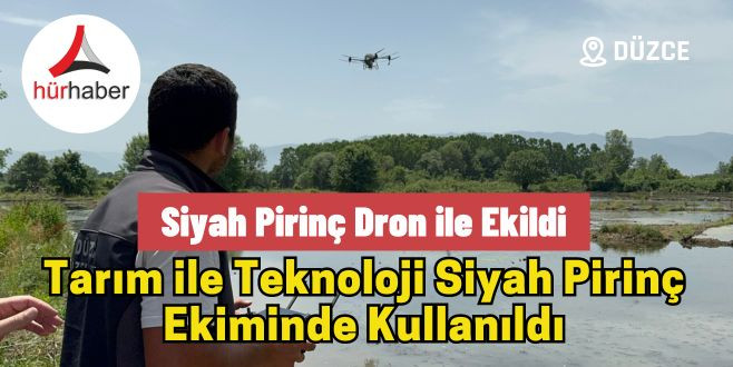 Siyah pirinç dron ile ekildi