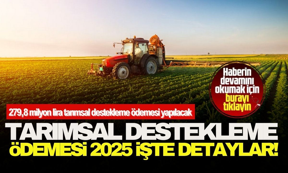 Tarımsal destekleme ödemesi 2025 İşte detaylar 