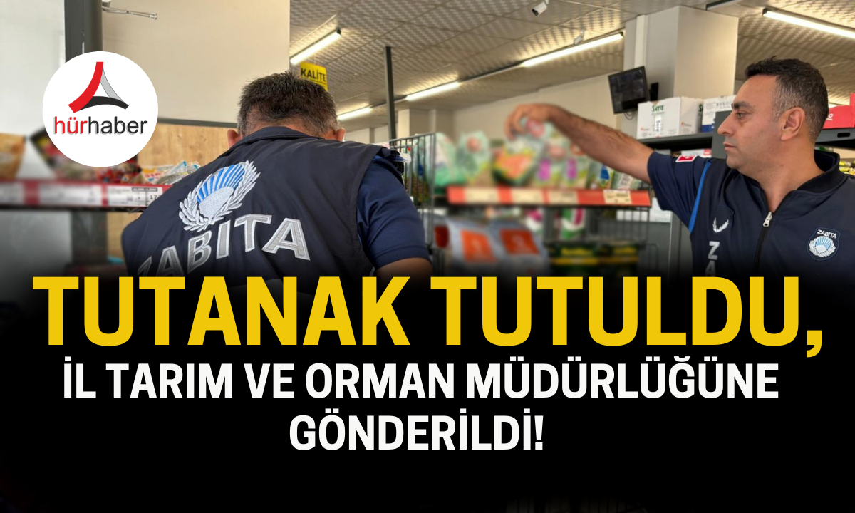 Tutanak tutuldu, il tarım ve orman müdürlüğüne gönderildi