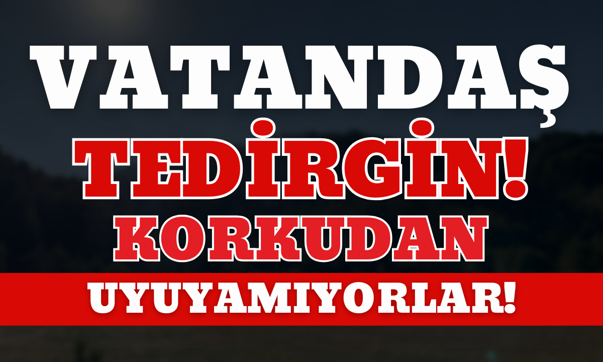 Vatandaş tedirgin Korkudan uyuyamıyorlar!