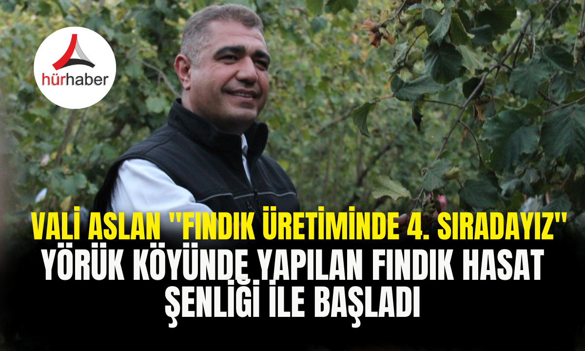 Yörük köyünde yapılan fındık hasat şenliği ile başladı!